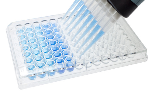 multichannel pipette test sample on 96 wells plate multichannel pipette test sample on 96 wells plate
